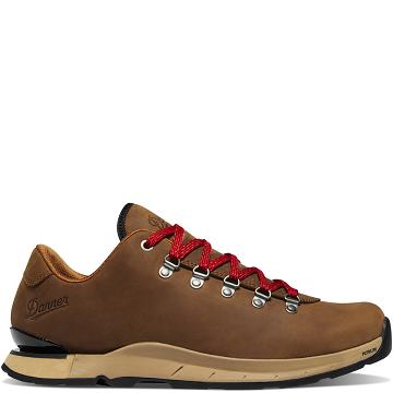 Men's Danner Mountain Overlook Hiking Shoes Brown | CA4784DN