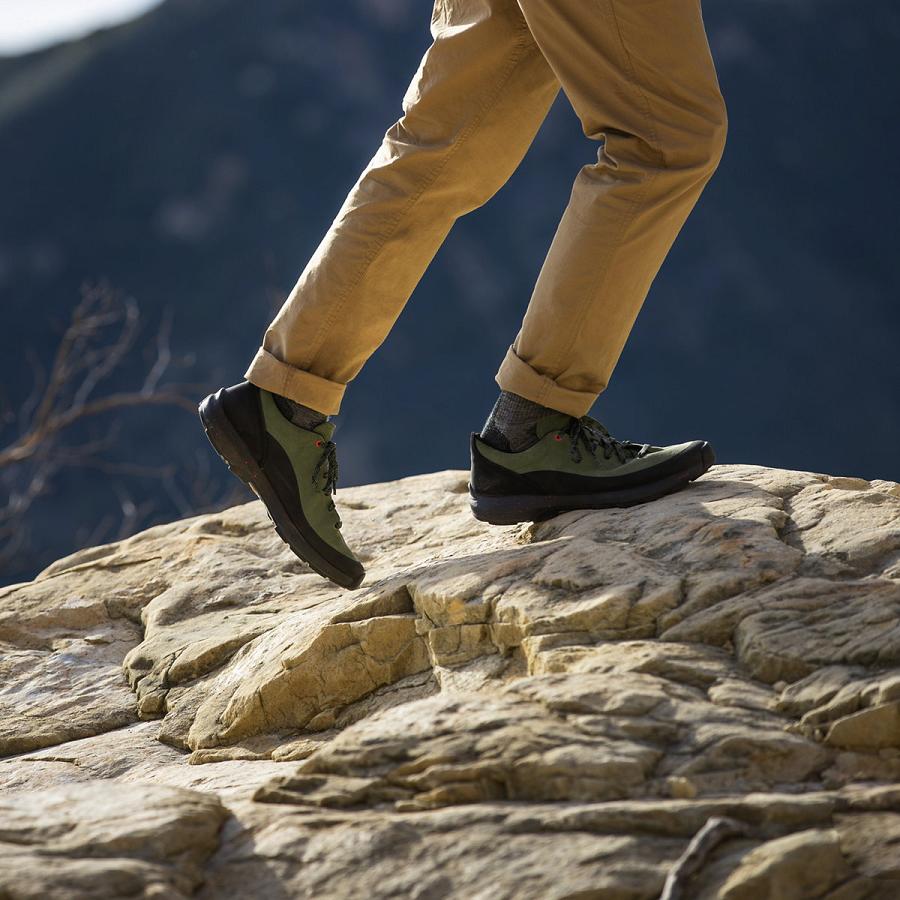 Men's Danner Caprine Low Suede Hiking Shoes Olive | CA4783FM