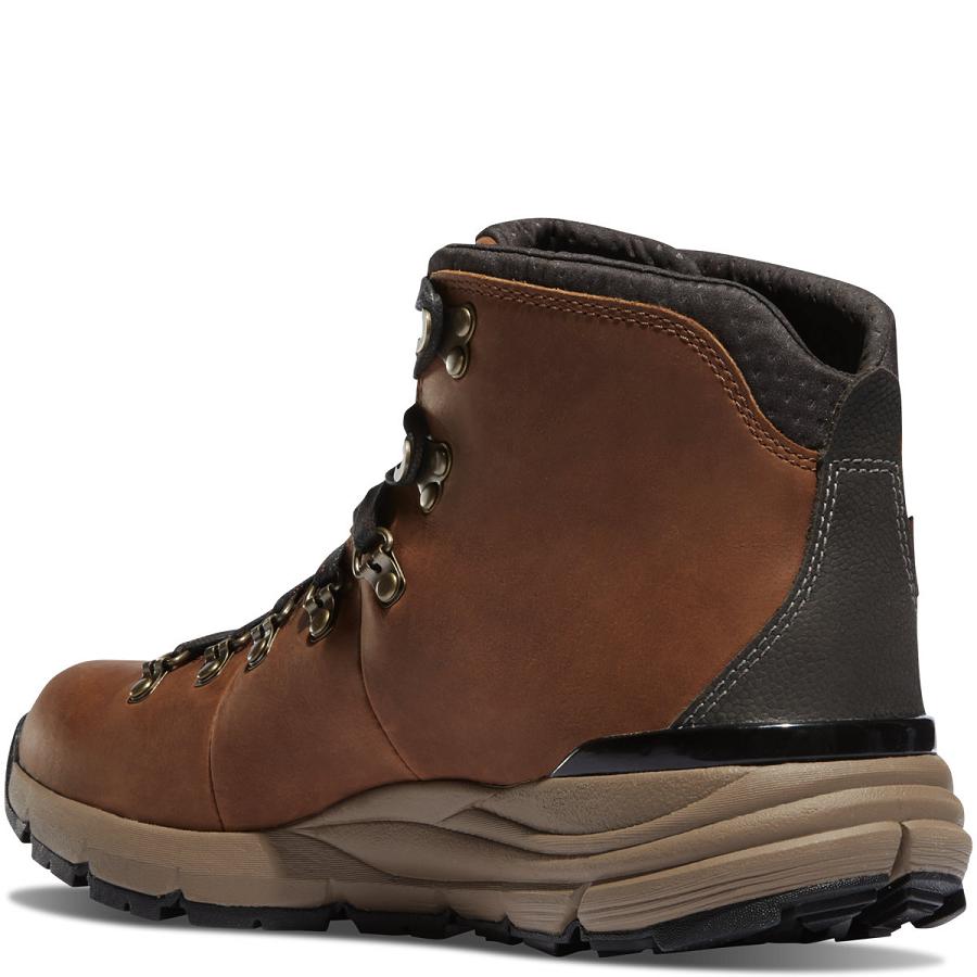 Men's Danner Mountain 600 4.5