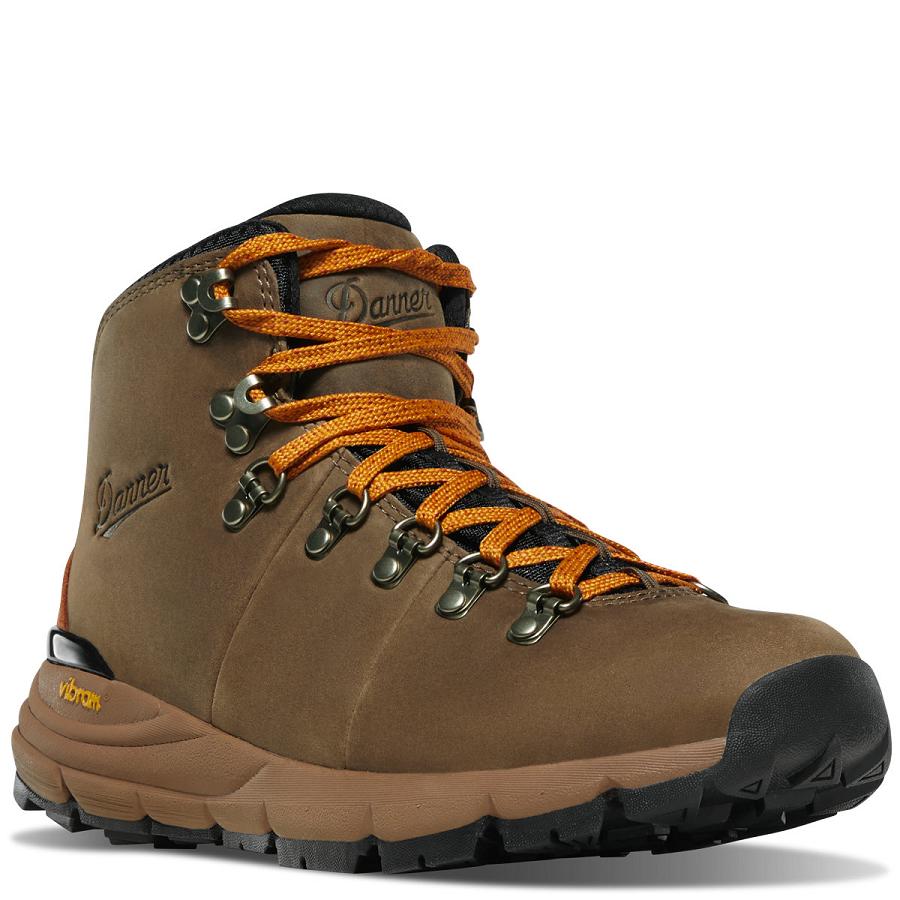 Men's Danner Mountain 600 Hiking Boots Chocolate | CA4794EX