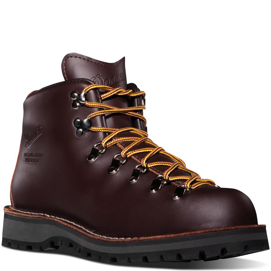 Men's Danner Mountain Light - GORE-TEX Hiking Boots Chocolate | CA4806HK