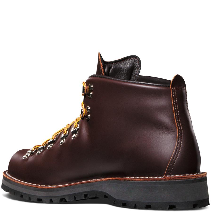 Men's Danner Mountain Light - GORE-TEX Hiking Boots Chocolate | CA4806HK