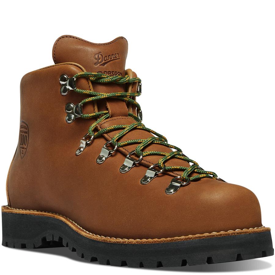 Men's Danner Mountain Light OR State Parks Centennial Hiking Boots Brown | CA4801FM