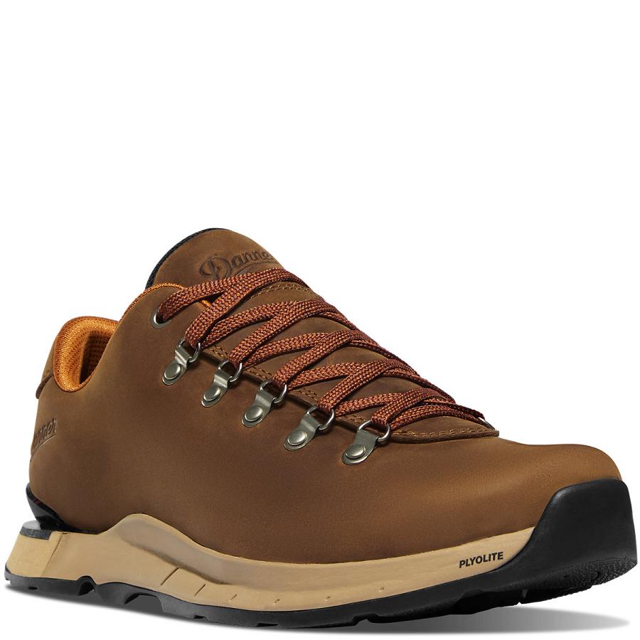 Men's Danner Mountain Overlook Shoes Brown | CA4685IS