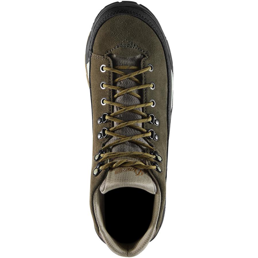 Men's Danner Panorama 6