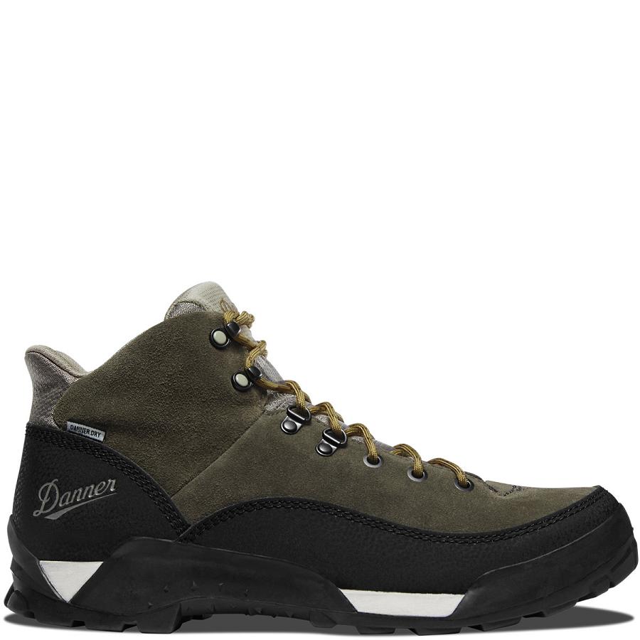 Men\'s Danner Panorama 6\