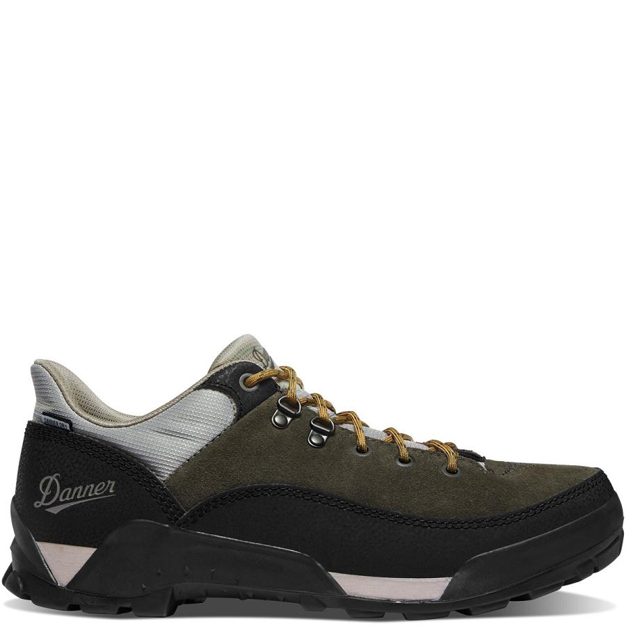 Men\'s Danner Panorama Low 4\