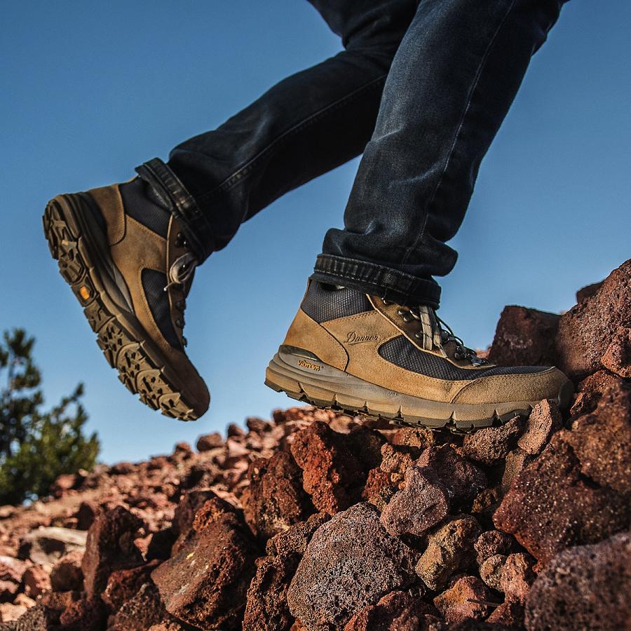 Men's Danner South Rim 600 Hiking Boots Brown | CA4847MA