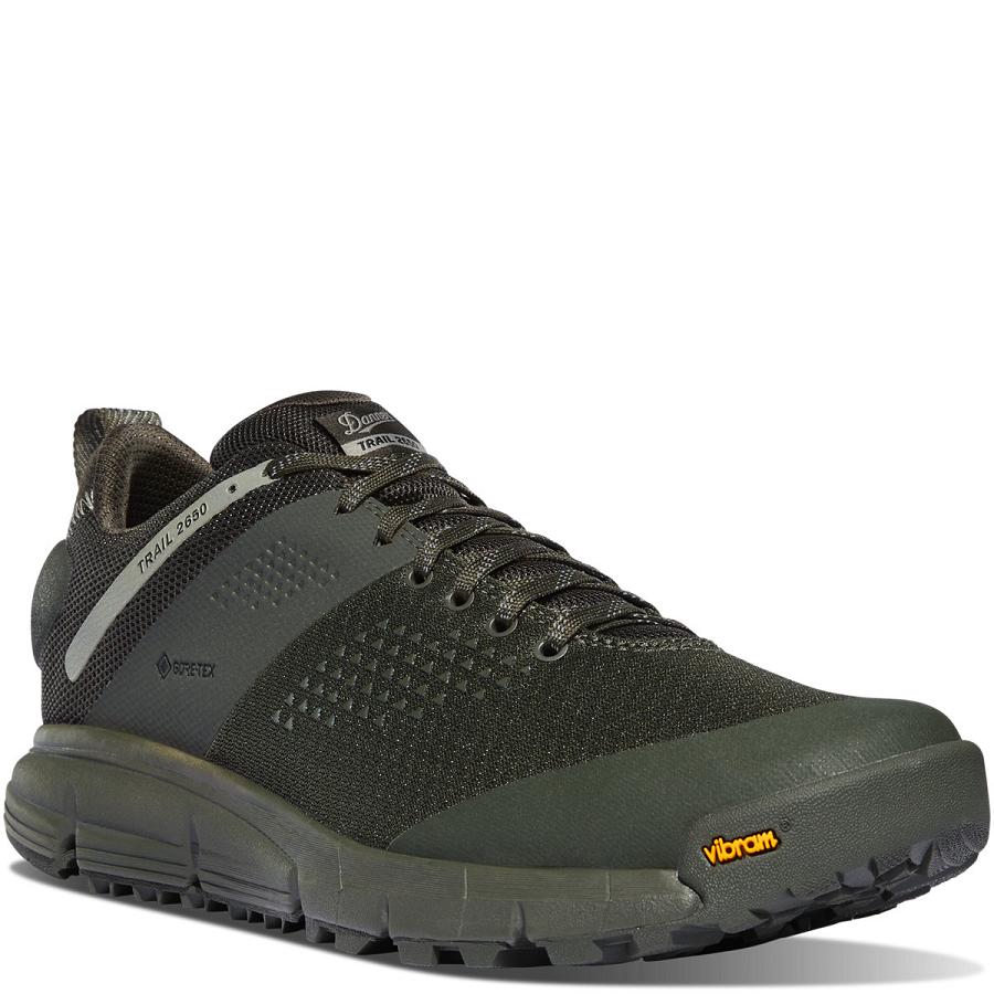 Men's Danner Trail 2650 Mesh GTX Shoes Grey | CA4683PQ