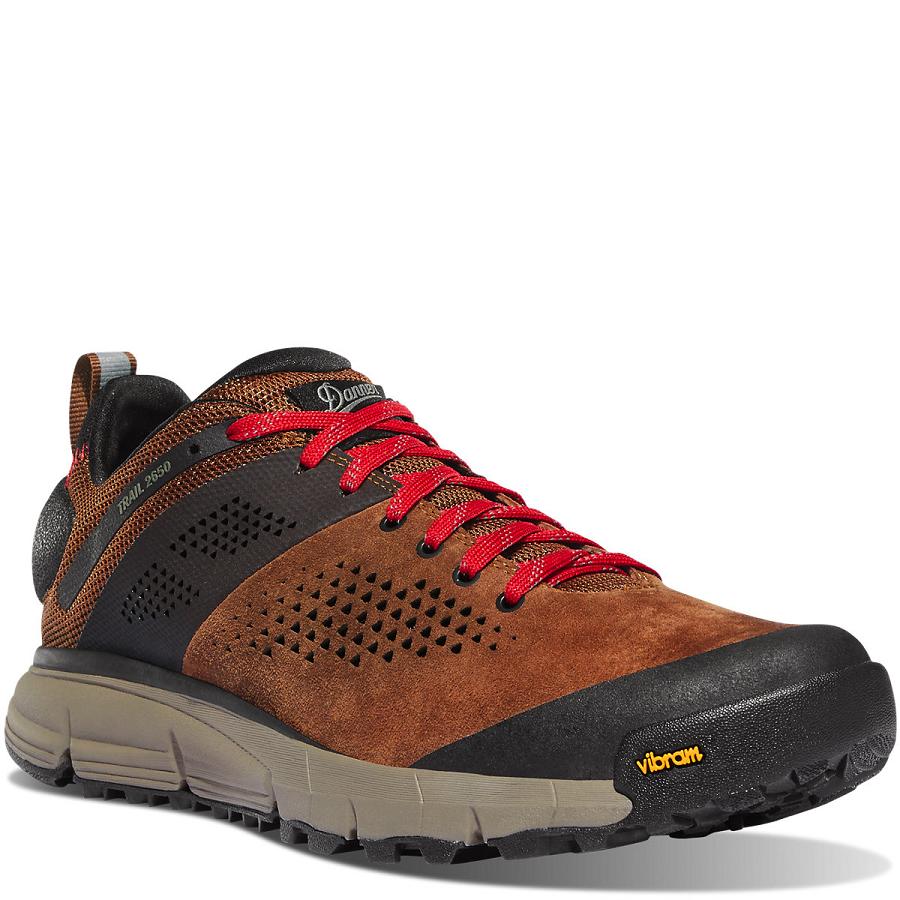 Men's Danner Trail 2650 Shoes Brown / Red | CA4694NB