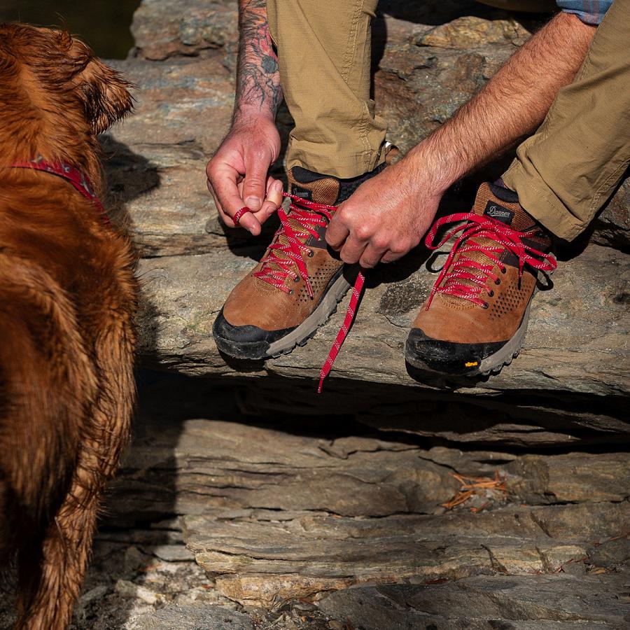 Men's Danner Trail 2650 Shoes Brown / Red | CA4694NB