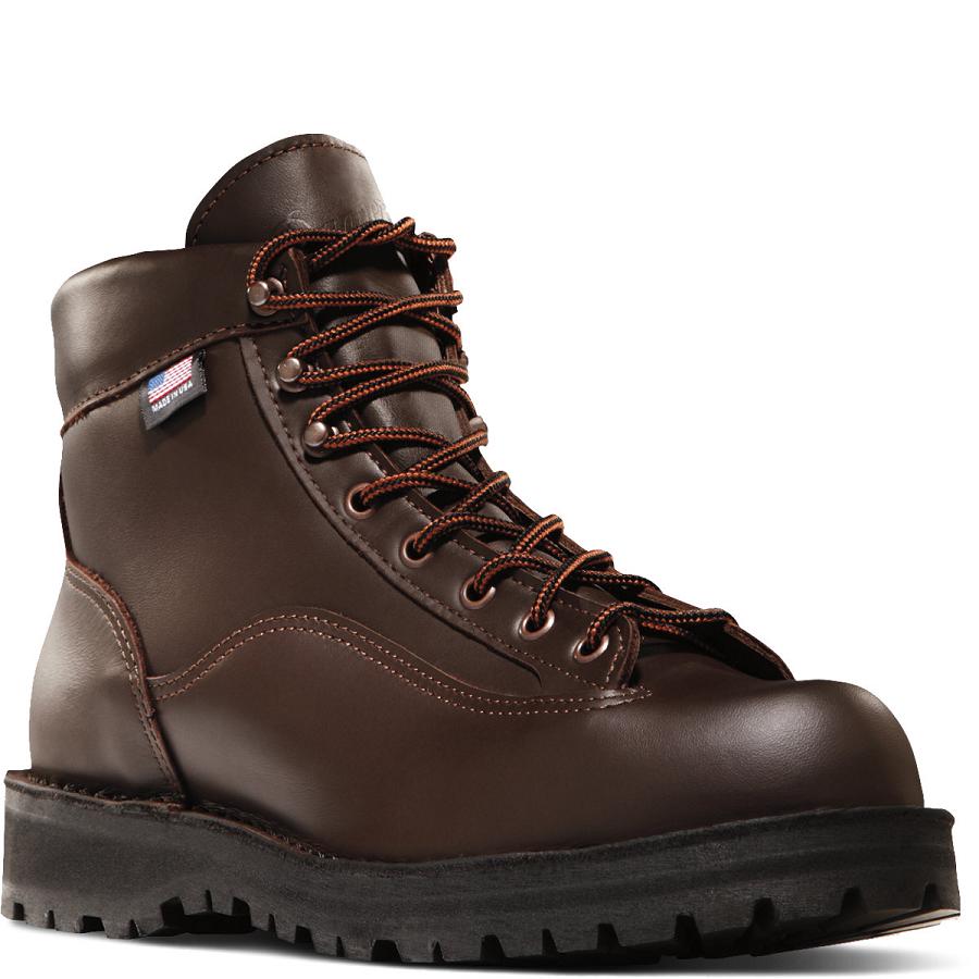 Women's Danner Explorer All-Leather Hiking Boots Coffee | CA4452IS