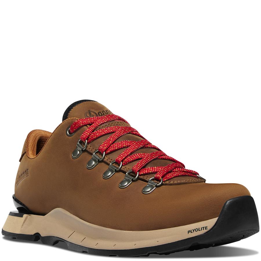 Women's Danner Mountain Overlook Hiking Shoes Brown | CA4377RW